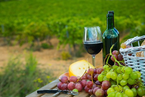 Winery Hospitality Spaces