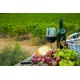 Winery Hospitality Spaces Image 1
