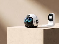 Ai-Powered Home Robots