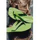 Botanical Leather Accessories Image 1