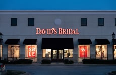 Integrated AI shopping