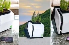 Plant-Powered Biological Electricity