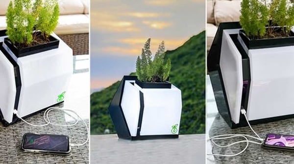 Plant-Powered Biological Electricity