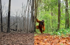 Award-Winning Sustainability Campaigns