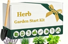 DIY Indoor Herb Kits