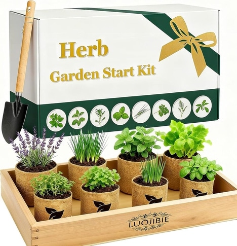 DIY Indoor Herb Kits