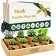 DIY Indoor Herb Kits Image 1