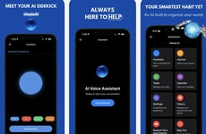 Voice Productivity Tools