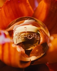 Intense Iconic Perfume Launches Image 2