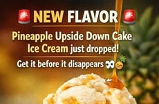 Pineapple Cake Ice Creams