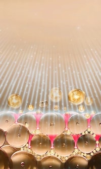 Advanced Home-Use Skincare Tools Image 2