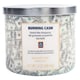 Humorous Money-Inspired Candles Image 1