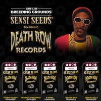 Cannabis Seed Bank Collaborations Image 1