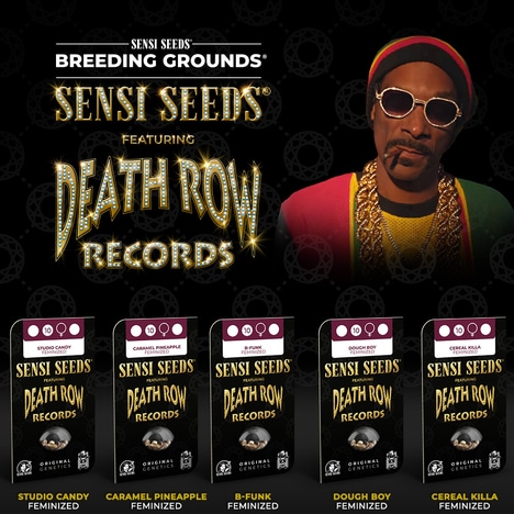 Cannabis Seed Bank Collaborations