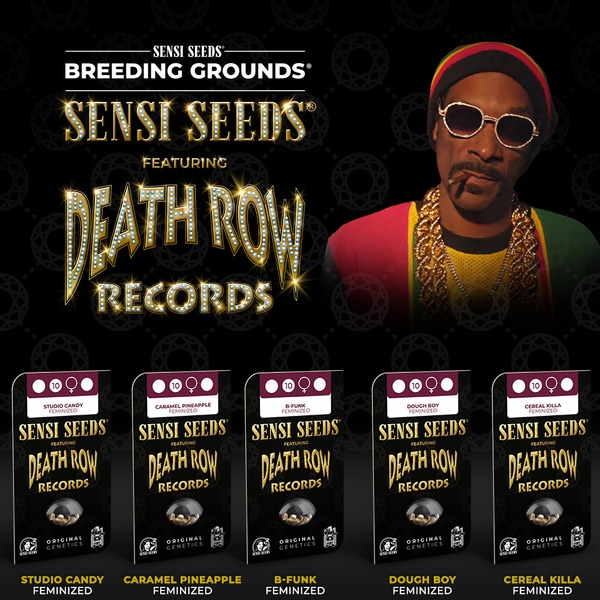 Cannabis Seed Bank Collaborations