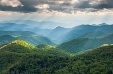 Adaptive National Park Programming