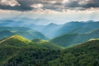 Adaptive National Park Programming