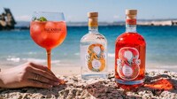 Watermelon Gin Spirits Image 3