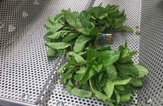 Gentle Produce Washing Machines