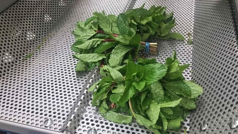 Gentle Produce Washing Machines