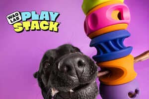 Modular Dog Toys: WAGLAB PlayStack Has Interchangeable Parts Like The ...