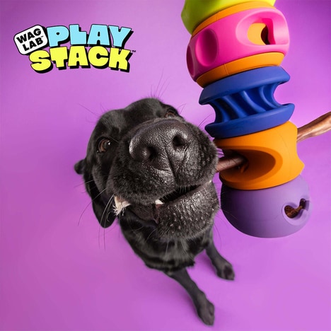 Modular Dog Toys