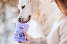 Insect Protein Dog Treats