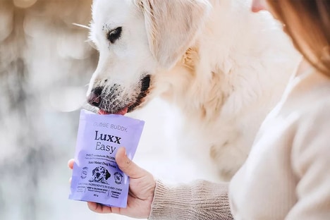Insect Protein Dog Treats