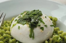 Plant-Based Burrata Alternatives
