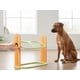 Adaptive Puzzle Dog Bowls Image 2