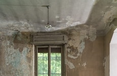 Whimsy Art Exhibitions