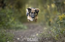 Month-Long Airport Photography Exhibitions