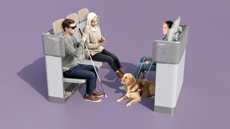 Wheelchair-Compatible Cabin Concepts