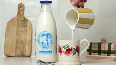 Raw-Like Whole Milks