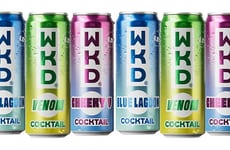 Night Out-Inspired Canned Cocktails