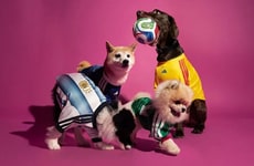 Pet Team Kits