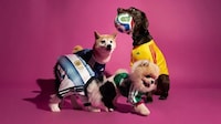 Pet Team Kits Image 1