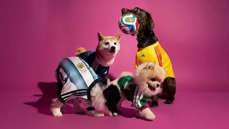 Pet Team Kits