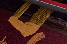 Political Silk Installations