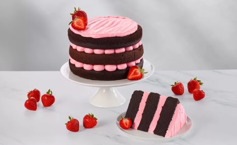 Frozen Bakery Cake Portfolios