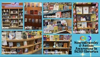 Neurodiversity-Focused Library Nooks