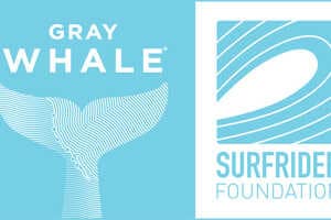 Ocean Cleanup Partnerships Article Thubnail