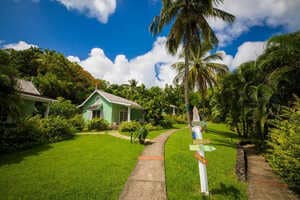 Secluded Atmospheric Escapes Article Thubnail