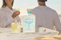 Coastal-Inspired Vodka Spirits Image 2
