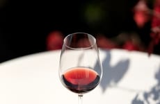 Wine Upcycling Projects