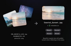 Photo Management AI