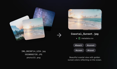 Photo Management AI