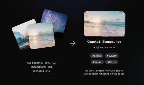 Photo Management AI