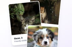 Pet Social Platforms