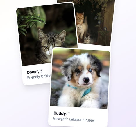 Pet Social Platforms